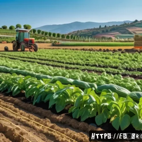 Home 30 유기농업관리사 필수 시험자료 다운로드 - A vibrant organic farm scene in Spain showing a diverse crop rotation field with colorful rows of ve...