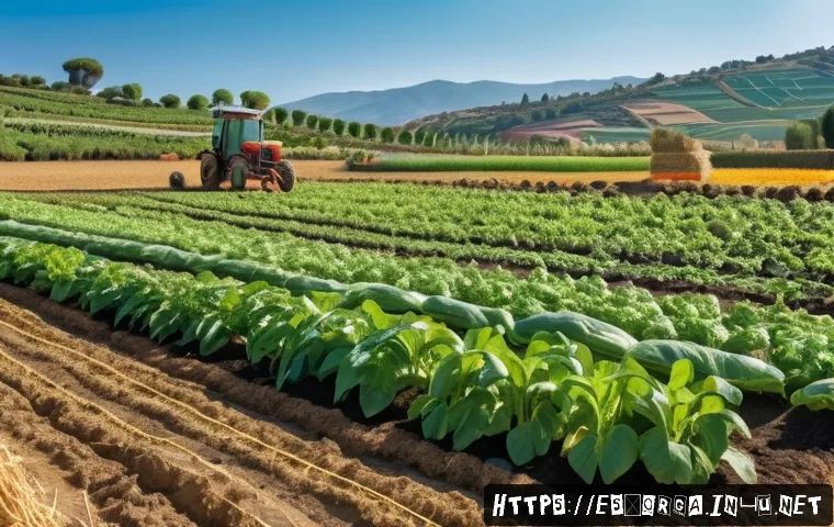 유기농업관리사 필수 시험자료 다운로드 - A vibrant organic farm scene in Spain showing a diverse crop rotation field with colorful rows of ve...